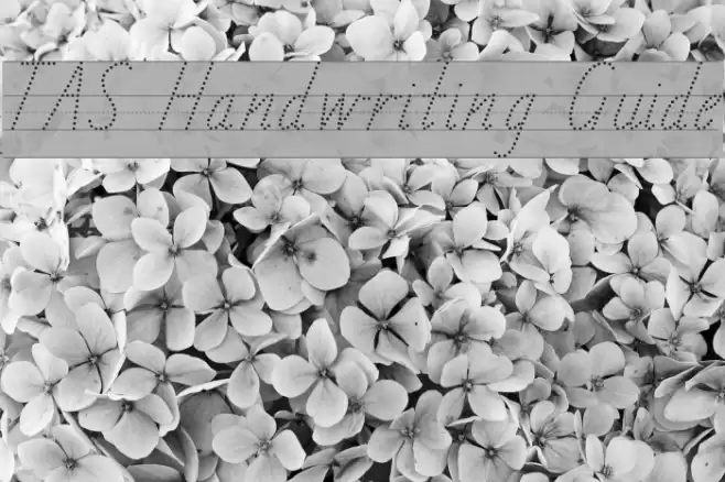 TAS Handwriting Guide Font examples