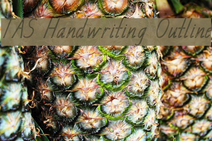 TAS Handwriting Outline Font examples