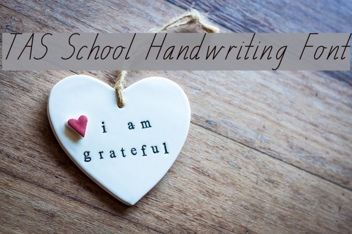 TAS School Handwriting Font Font examples
