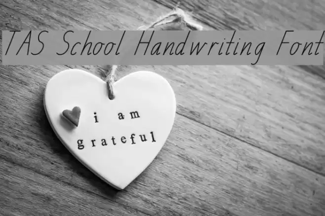 TAS School Handwriting Font Font examples