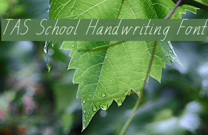 TAS School Handwriting Font Font examples