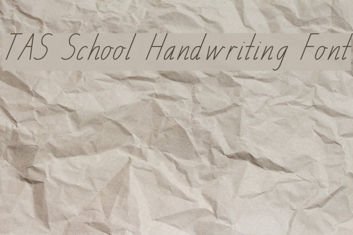 TAS School Handwriting Font Font examples