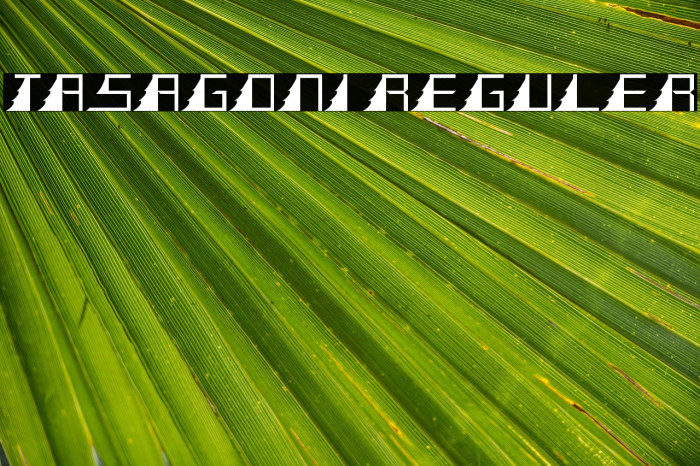 TASAGONI REGULER Example 1