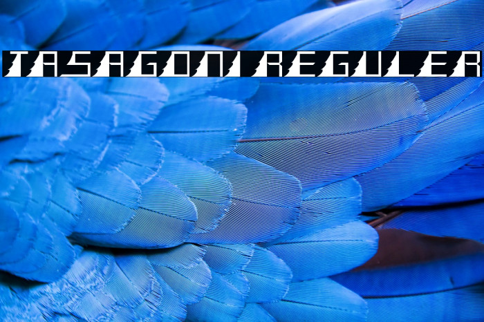 TASAGONI REGULER Example 2