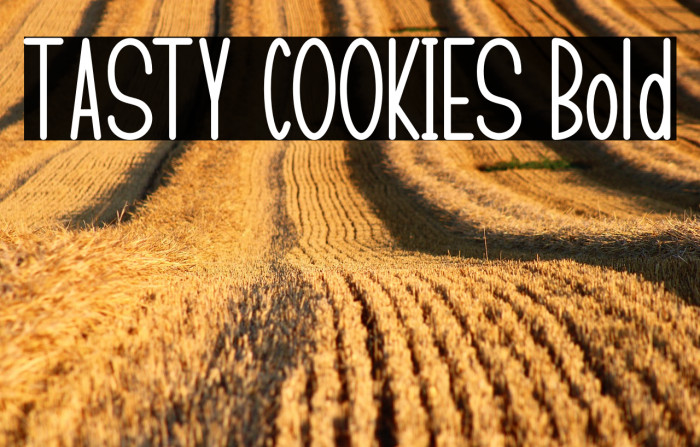 TASTY COOKIES Bold Example 1