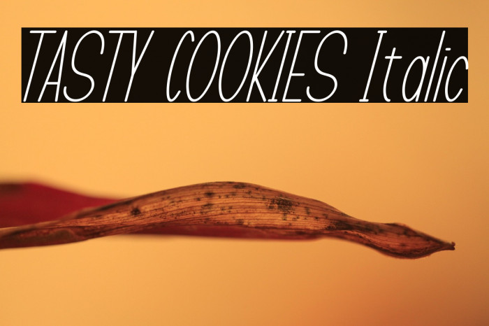 TASTY COOKIES Italic Example 3