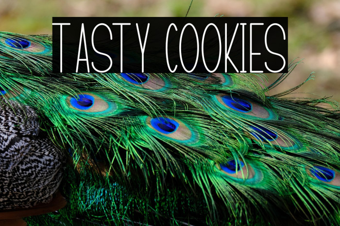 TASTY COOKIES Example 3