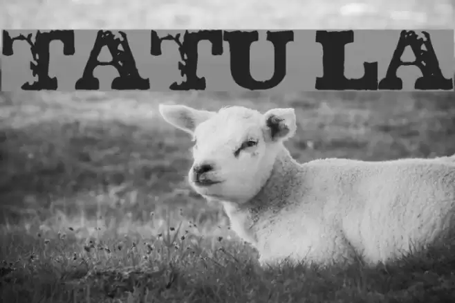 TATU LA Font examples