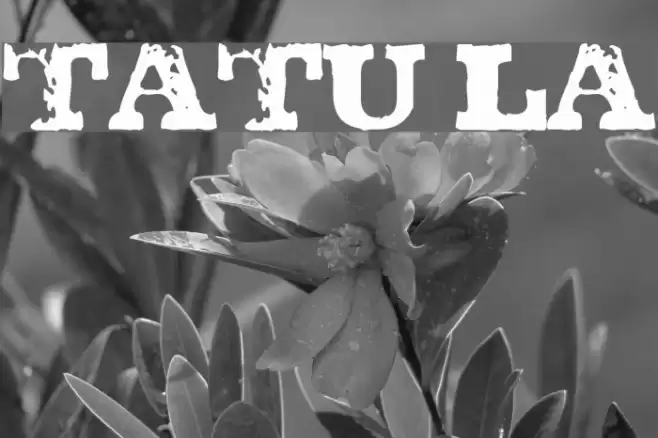 TATU LA Font examples