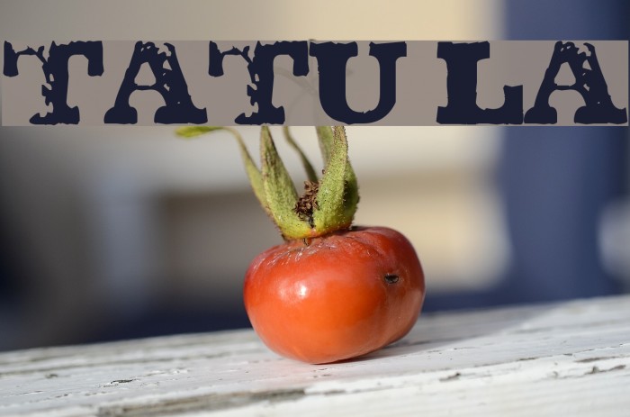 TATU LA Font examples