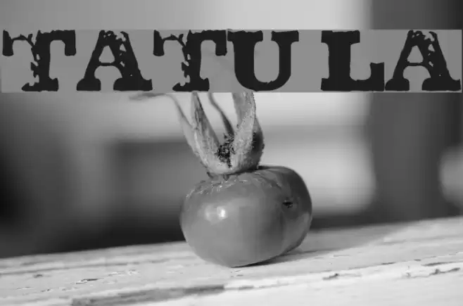 TATU LA Font examples