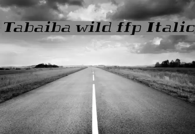 Tabaiba wild ffp Italic Font examples