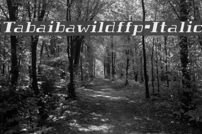 Tabaibawildffp-Italic Font examples