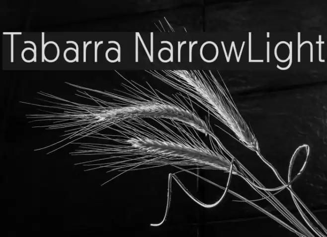 Tabarra NarrowLight Font examples