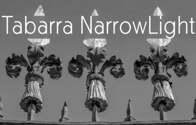 Tabarra NarrowLight Font examples