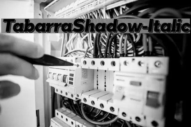 TabarraShadow-Italic フォント examples