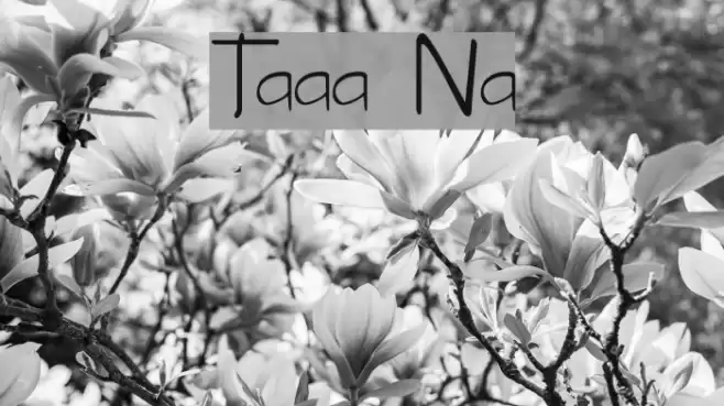 Tabatha Normal フォント examples