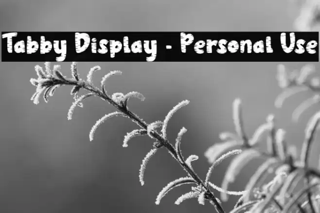 Tabby Display - Personal Use フォント examples