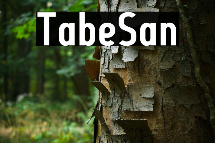 Tabel Sans Example 1