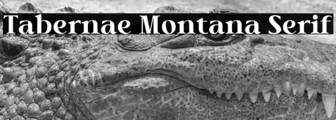 Tabernae Montana Serif 字体 examples
