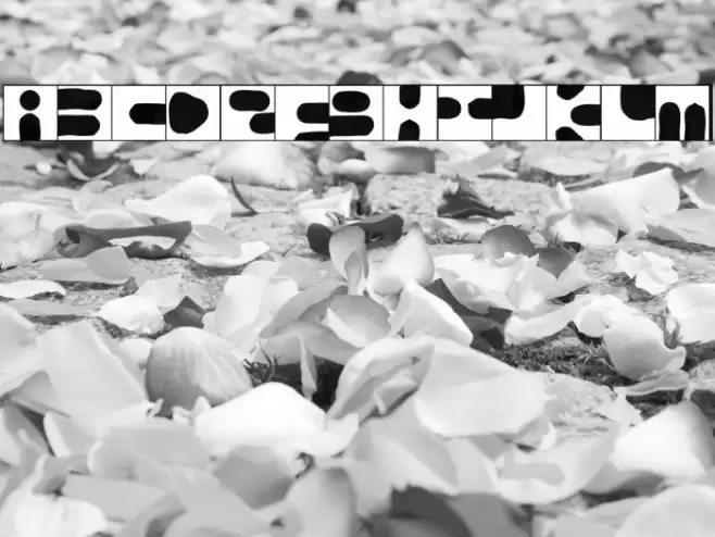 Tabi Fuentes examples