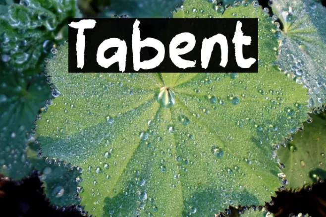 Tabient Example 1