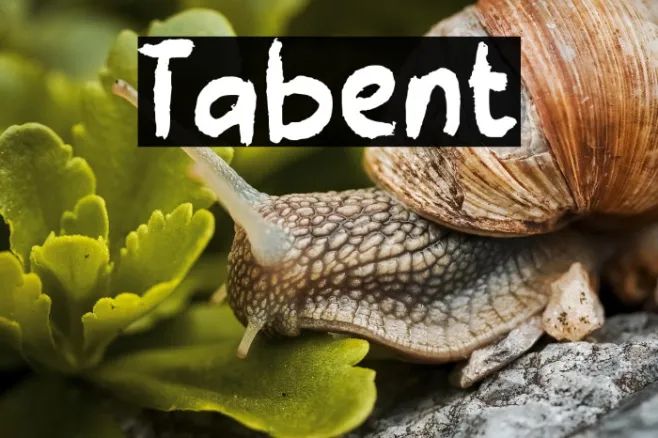 Tabient Example 2