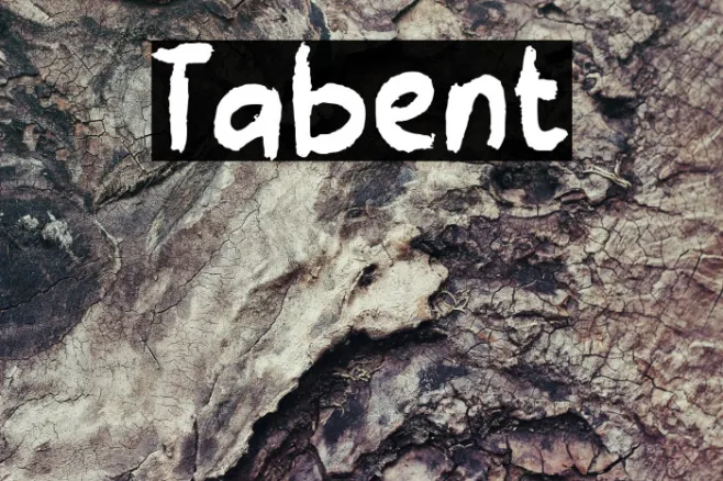 Tabient Example 3