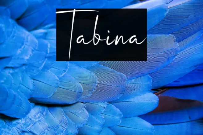 Tabina Example 1