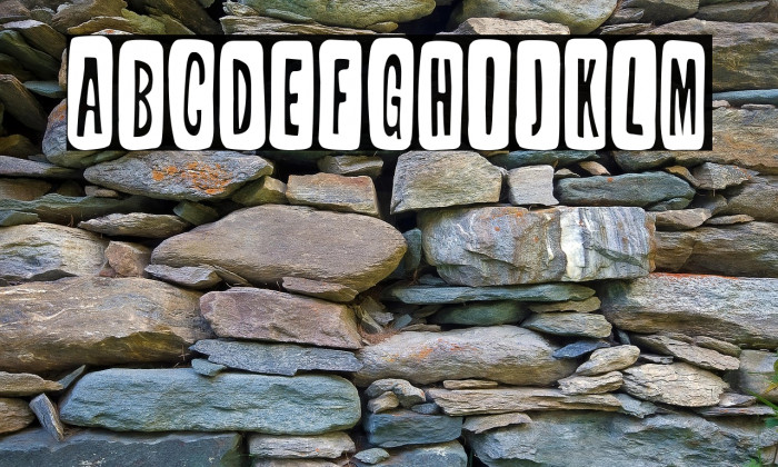 Tabique Nasal Example 1