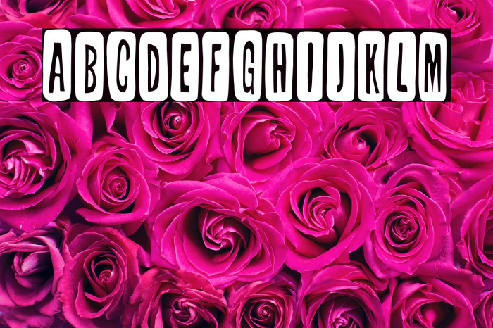 Tabique Nasal Example 2