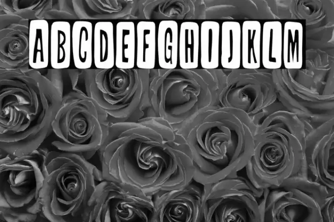 Tabique Nasal Font examples