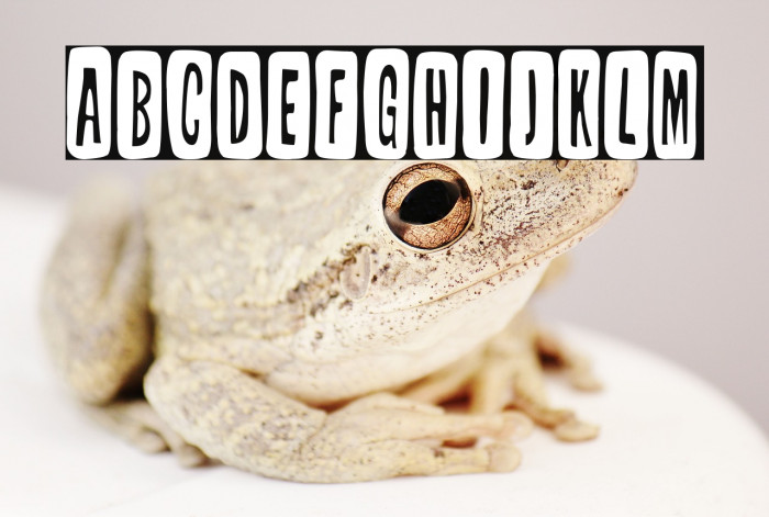 Tabique Nasal Example 3