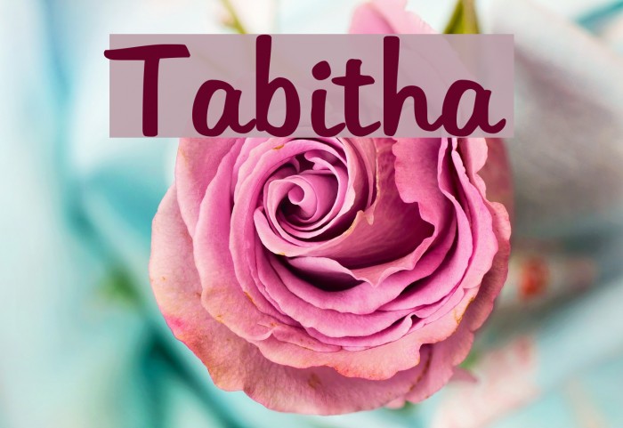 Tabitha Fonte examples