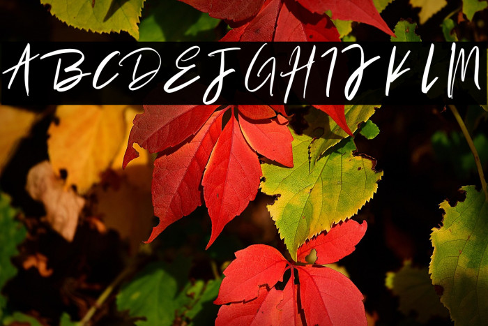 TabithaSmest Example 1