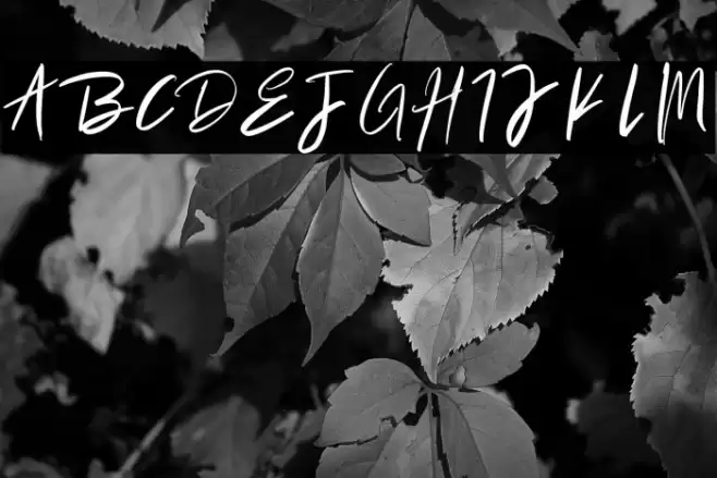 TabithaSmest Font examples