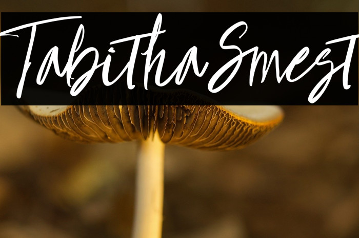 TabithaSmest Example 1