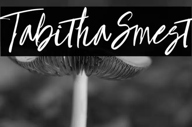 TabithaSmest Font examples