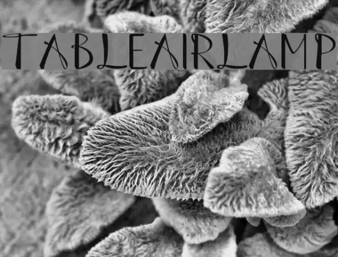 Table Air Lamp Font examples