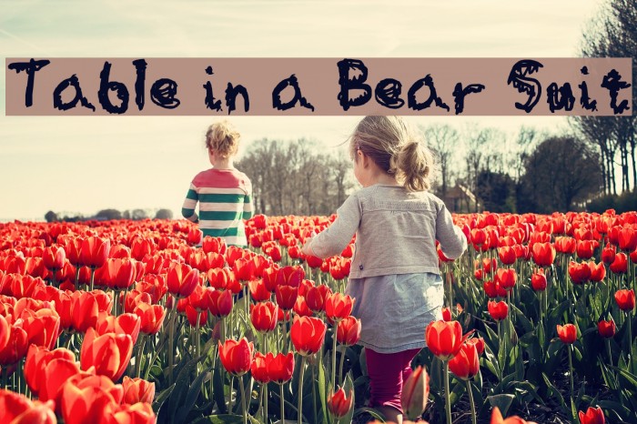 Table in a Bear Suit Font examples