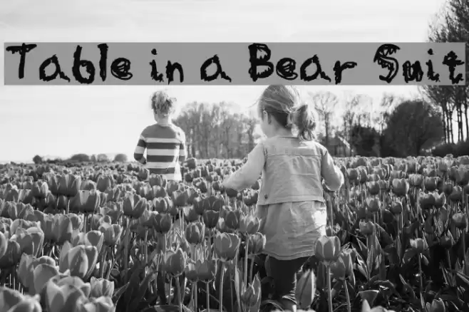 Table in a Bear Suit Font examples