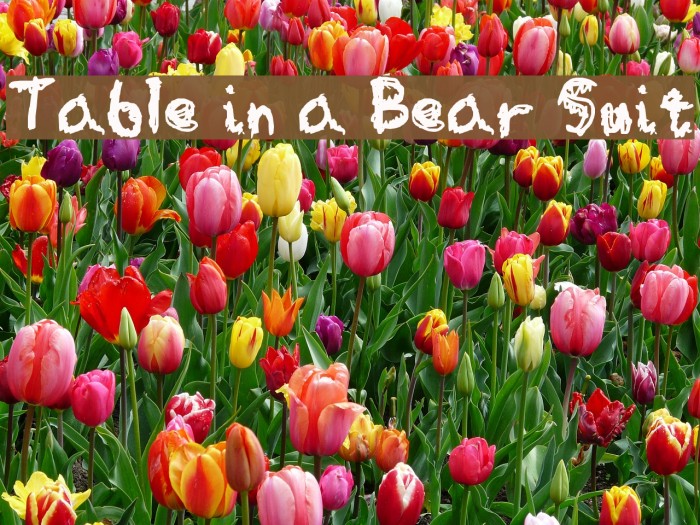 Table in a Bear Suit Font examples