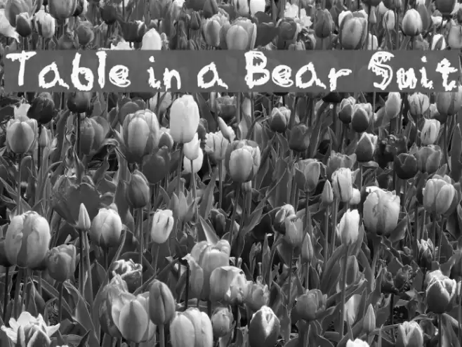 Table in a Bear Suit Font examples