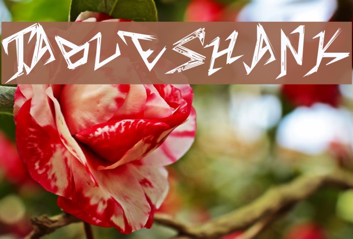 TableShank Font examples
