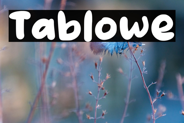 Tablowe Шрифта examples