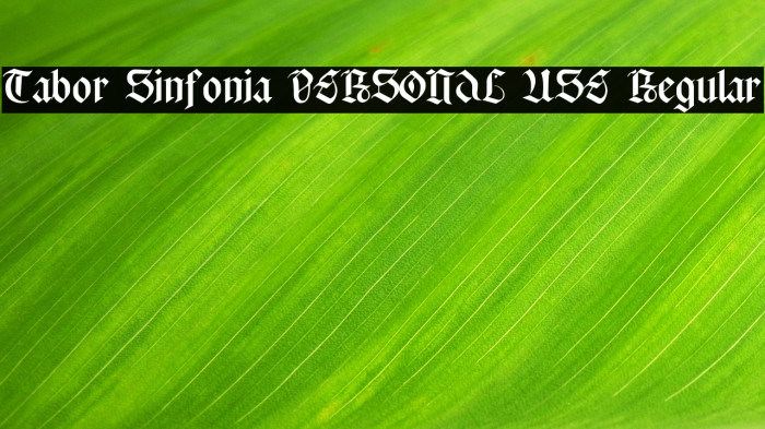 Tabor Sinfonia PERSONAL USE Regular Example 2