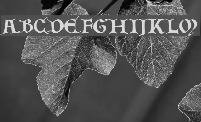 Tabula-Peutingeriana---Capitel-Bold-Italic Font examples