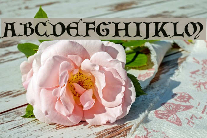 Tabula-Peutingeriana---Capitel-Bold-Italic Font examples