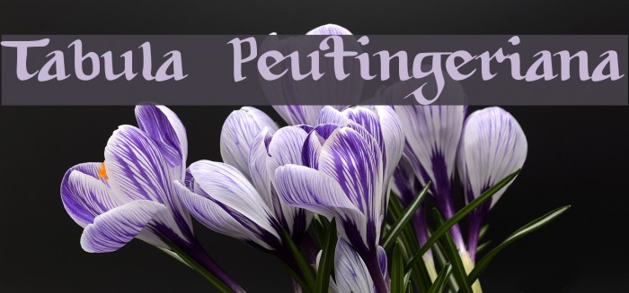 Tabula Peutingeriana Font examples