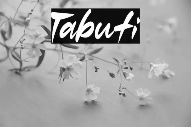 Tabuti Font examples